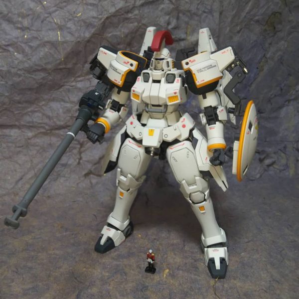 1/100MGトールギス