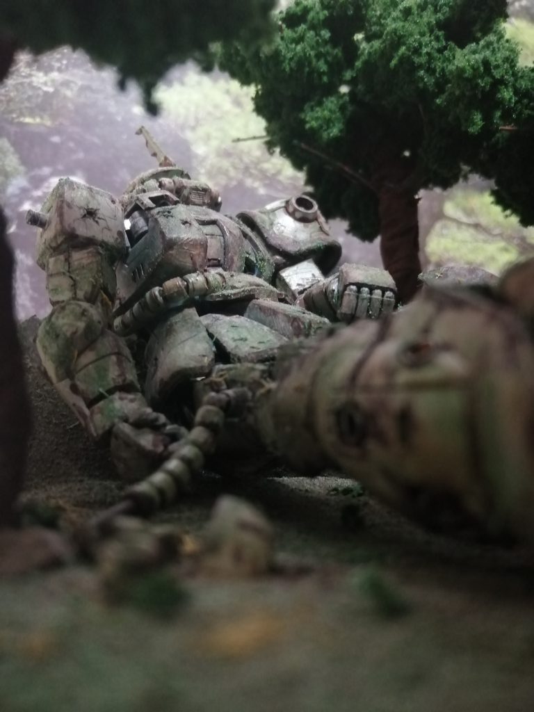 お気に入りの下から見上げる感じ