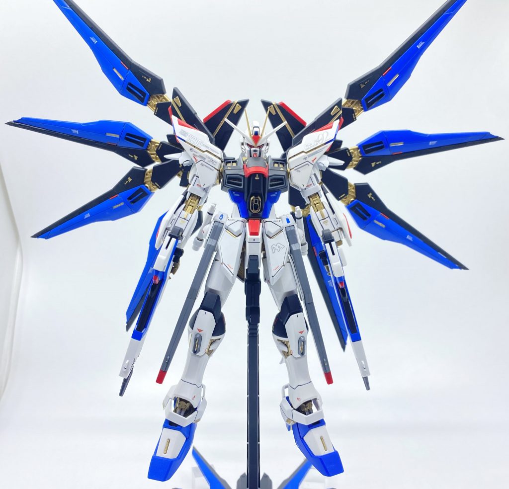 翼を広げると非常に大きく撮影ブース内にギリギリでした笑