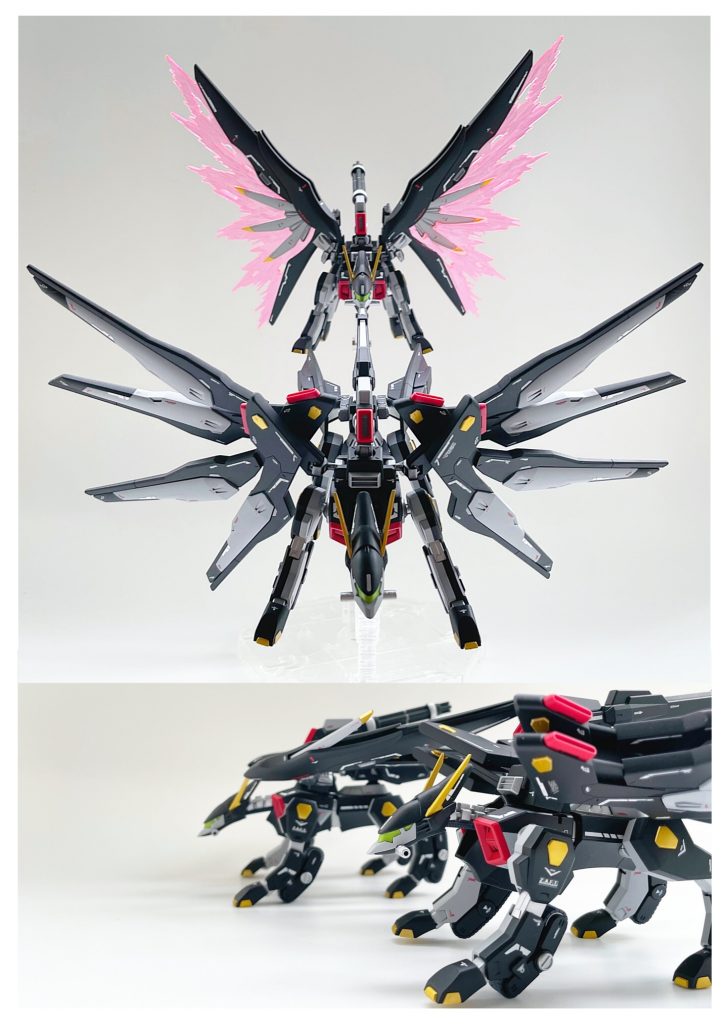 HGBF ストライクフリーダム  リタリエイト フルウィング & リタリエイトバクゥハウンズ–6枚目/制作者：Ririto