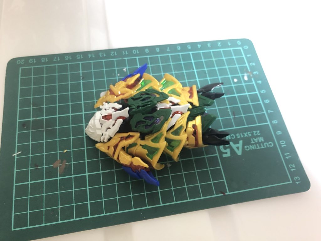 甲羅から段々成長しております