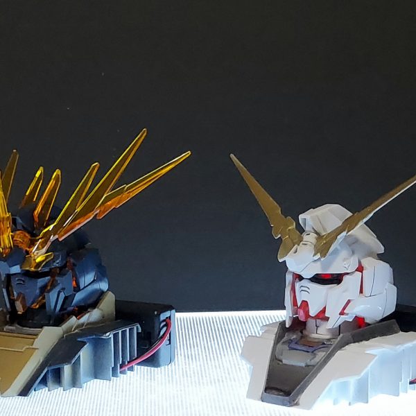 ヘッドディスプレイモデル