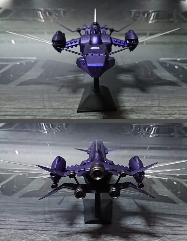 正面と真後ろ。