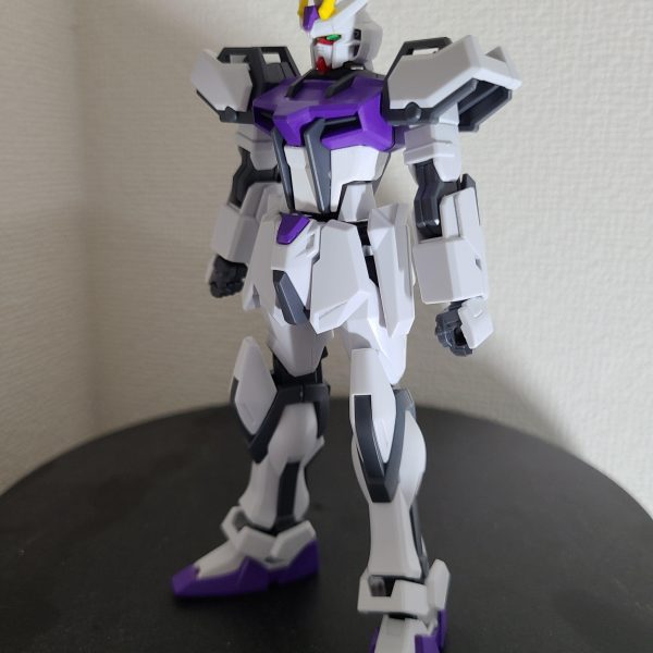 ネオ・ロアノーク専用ストライク