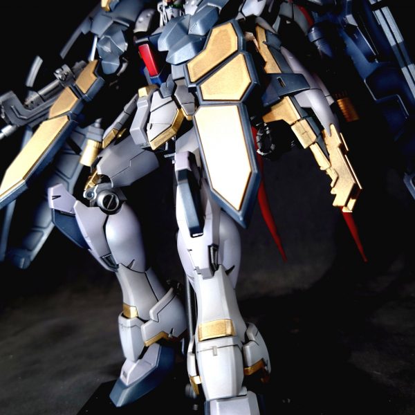 カトルは痛いヤツなので防御力に極振りしたいと思います。