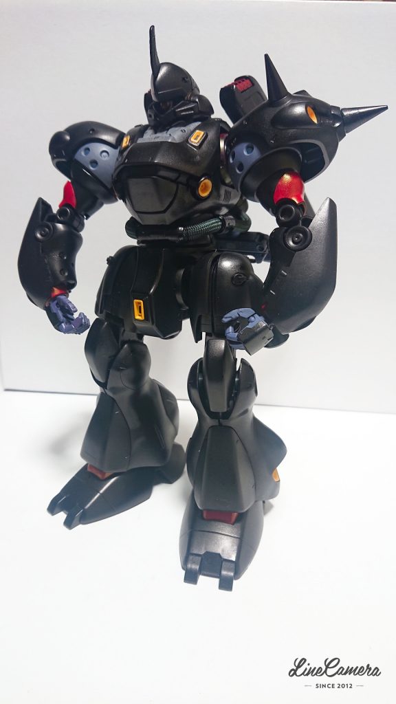 ポージングも下手なので・・・・