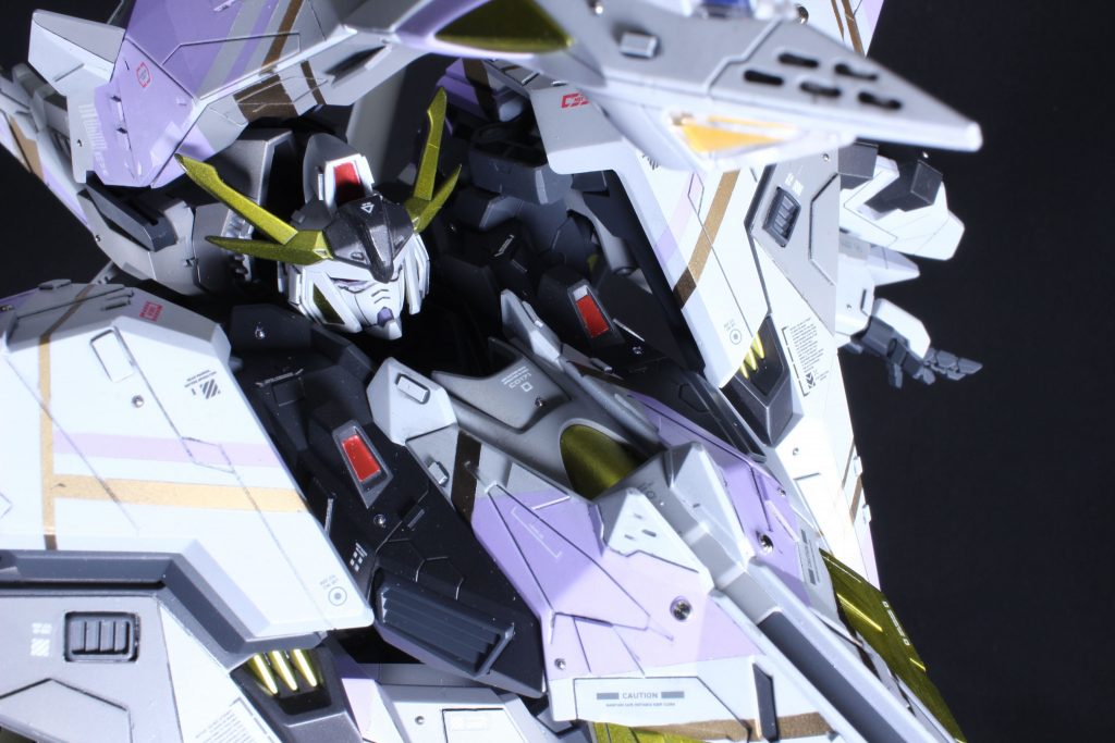 トサカは切り落としショート化、おでこパーツは1mm延長、わかりにくいですが胴体も5mm延長してます。頭部が埋もれるようなデザインなので、撮影は難儀しました😅