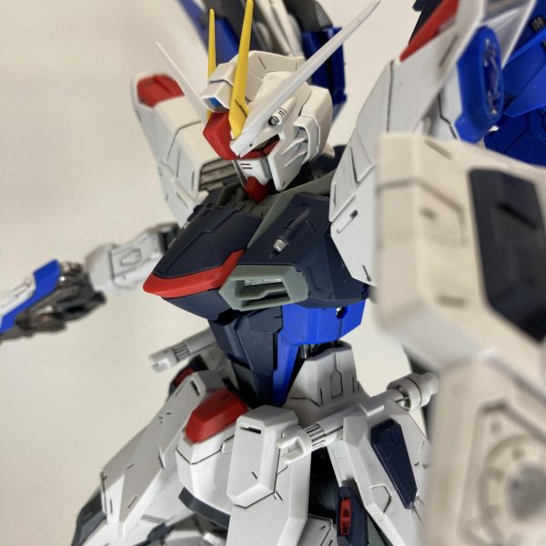 MGフリーダム ver2.0