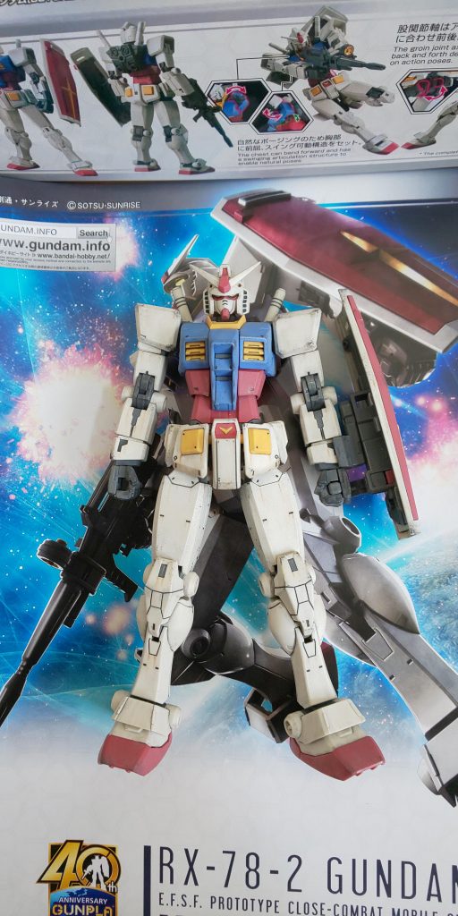 正面から見たところ。