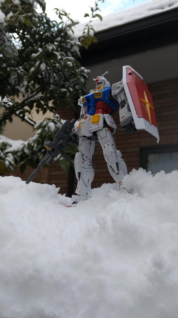 雪が降ったので、外で写真を撮ってみました