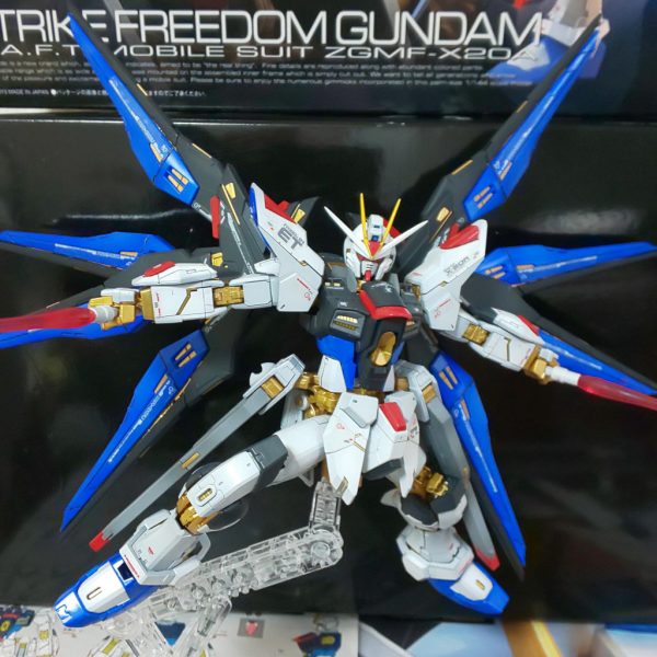 rg ストライクフリーダムです