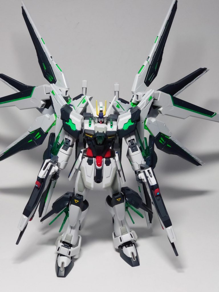 羽根を開いた状態。