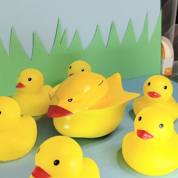 転生したらアヒルだった件