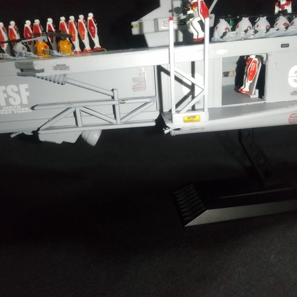 飛び立つジムも居ます♪