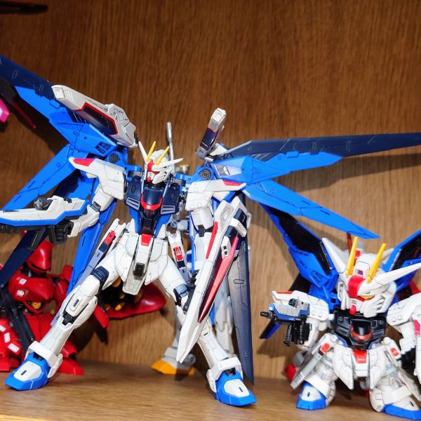 フリーダム親子