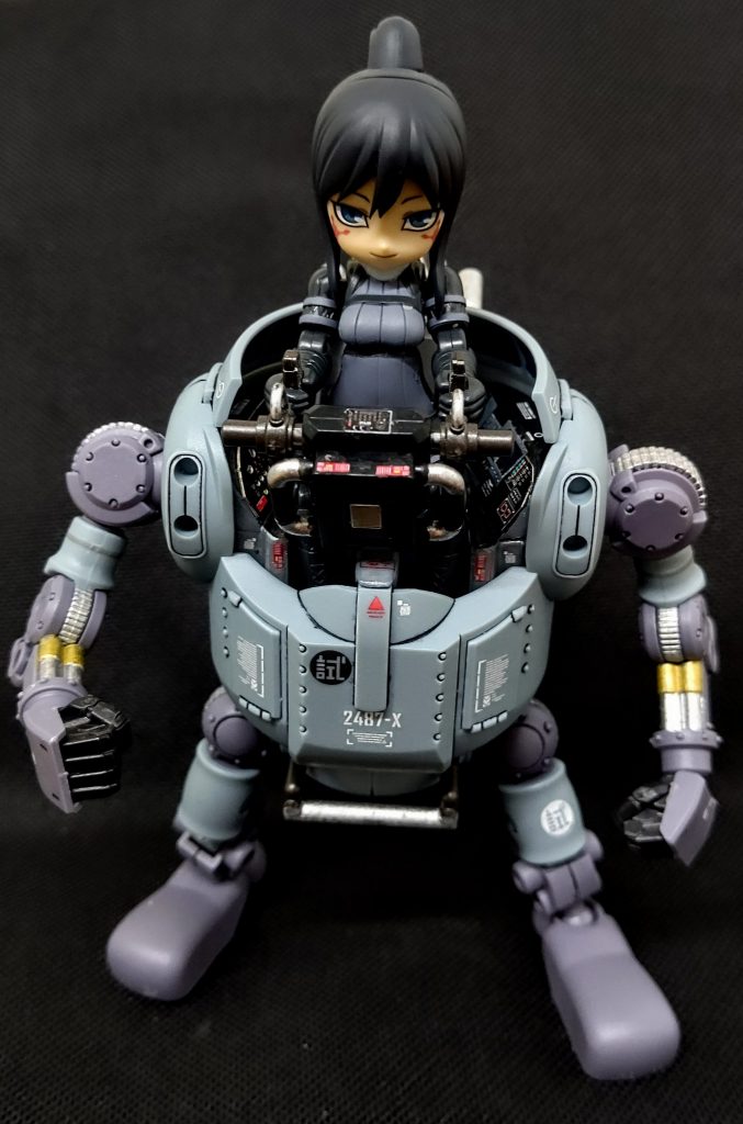 ガバナーと違い安心して乗せられるピトフーイさんです。これで完成です。なかなか満足です。楽しかった！