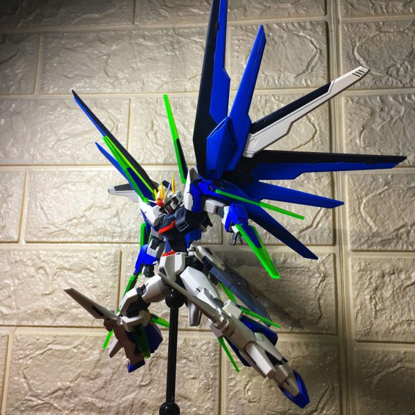 HG ZGMF-X10A/FX Freedom Gundam