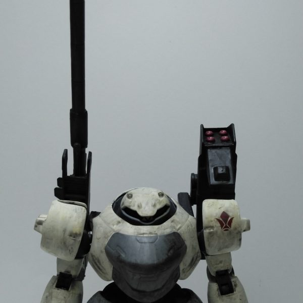 ランドマンロディ　寒冷地カラー