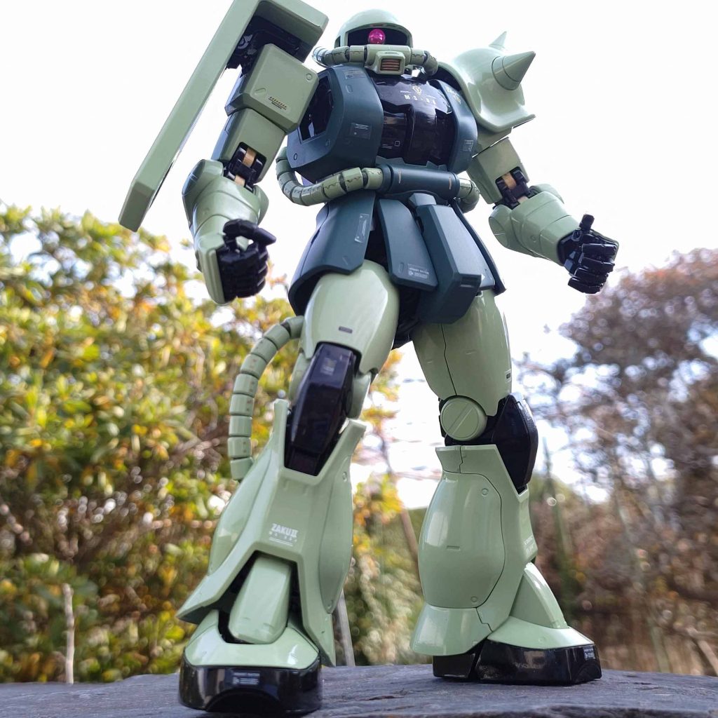 野外で自然光で撮影