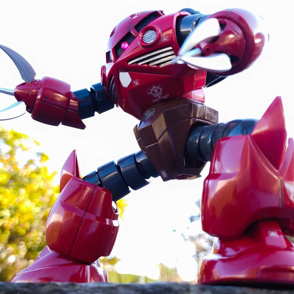 岩の上にシャア専用ズゴック