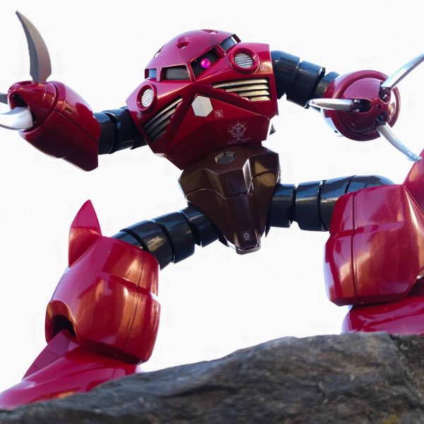 岩の上にシャア専用ズゴック1/144HG