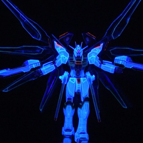 HG ストライクフリーダム クリアカラー