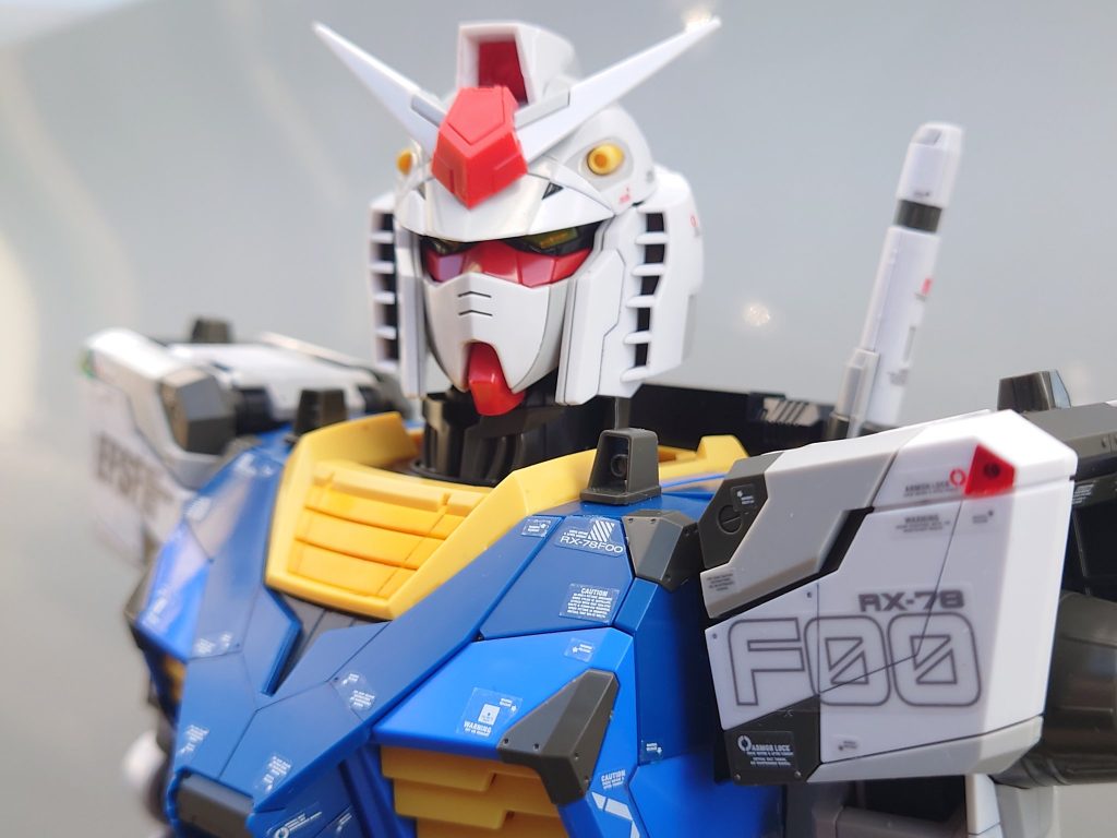 アップの写真です、やはり撮影ブースに入らないので野外撮影（背景は車のドアです）