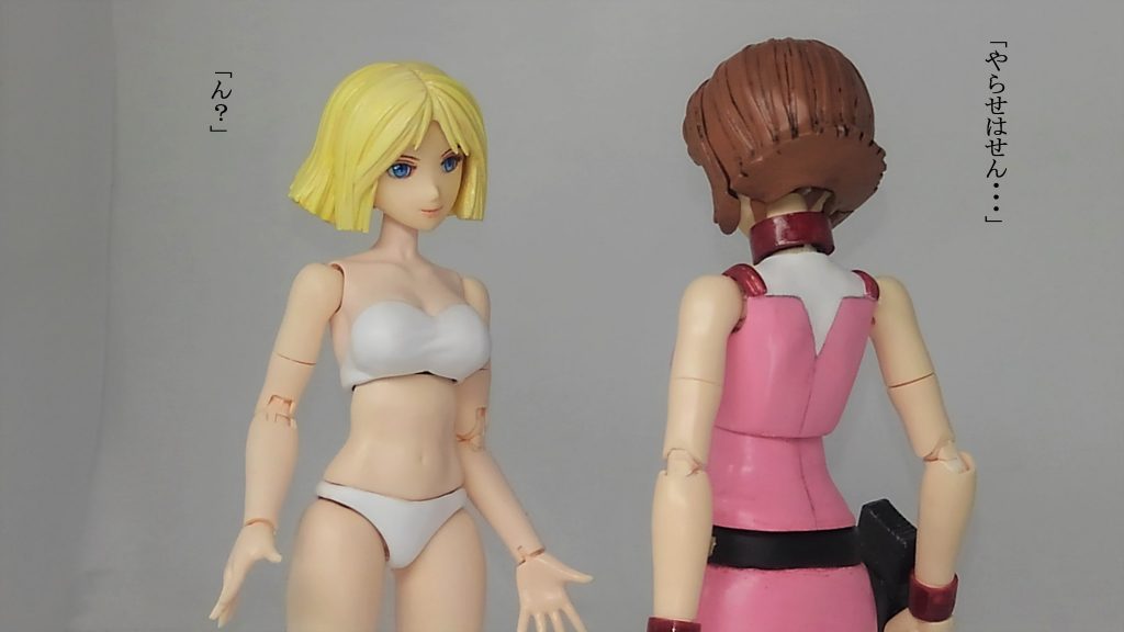 セイラ ＆ フラウ–9枚目/制作者：TOMSIM