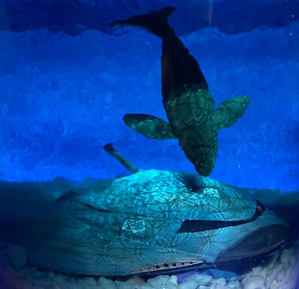 イグナシオ艦長は直ちに緊急遭難信号をサンディエゴ基地に送信するも、原子炉が停止したことで海水の電気分解による酸素供給ができなくなった。