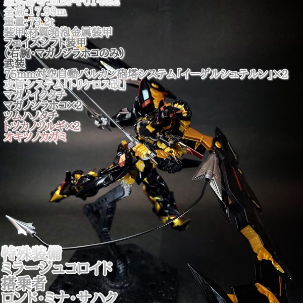 RG ガンダムアストレイゴールドフレーム天ミナ