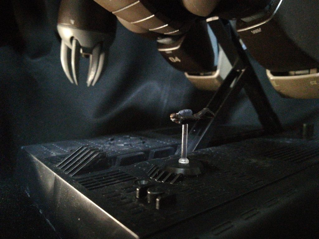 工作員も泳いでます。