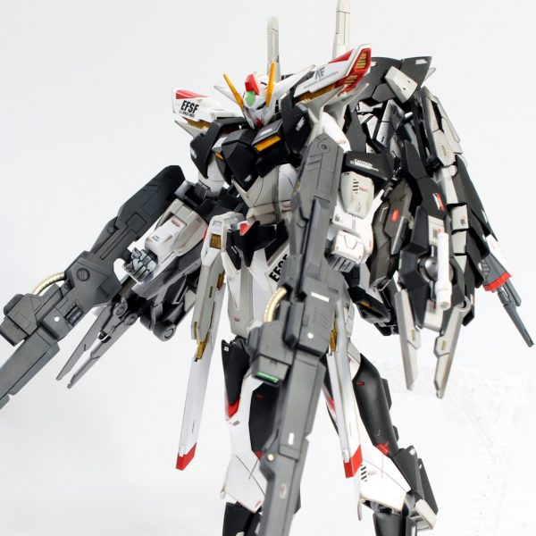 PERFECT  REVERSIBLE   GUNDAM