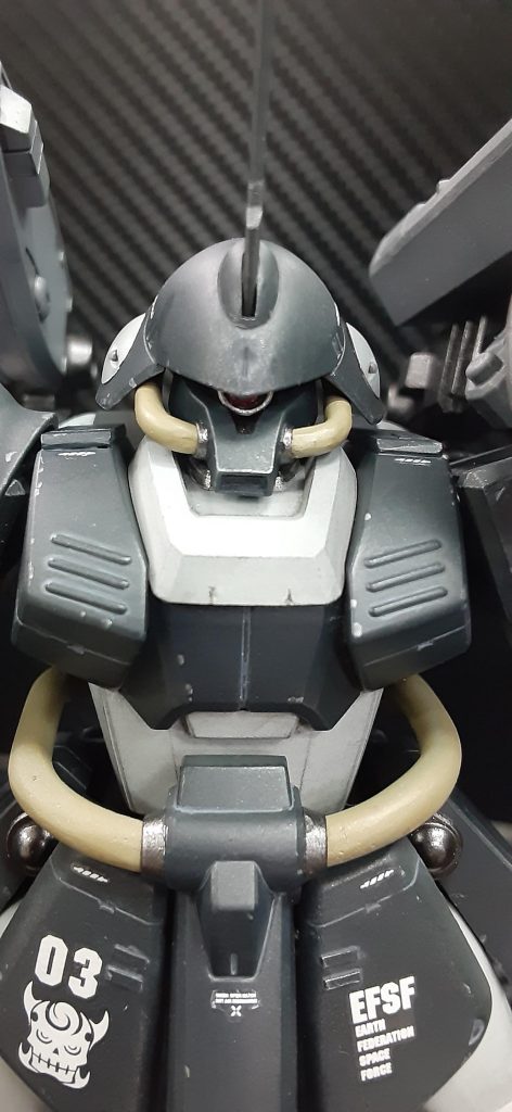 教導団の意義は仮想敵となっての軍内の訓練、戦術指導が主任務であるが、いくつかの残党拠点の制圧作戦に実戦投入された記録が残されている。