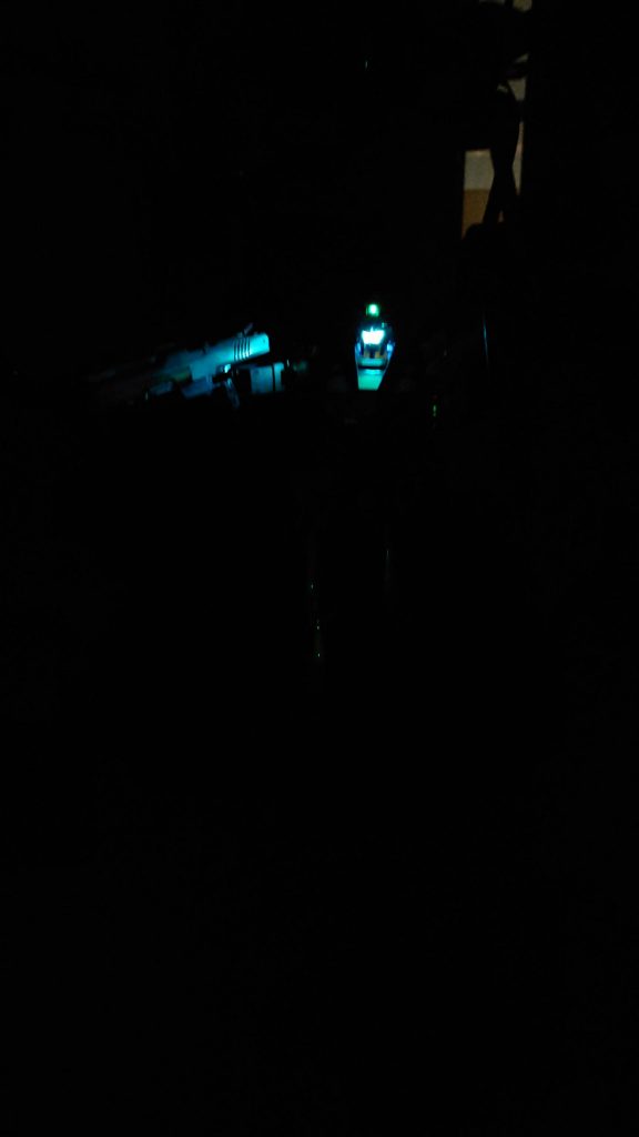 頭にLEDを仕込んでみましたが、暗すぎてよくわからず……