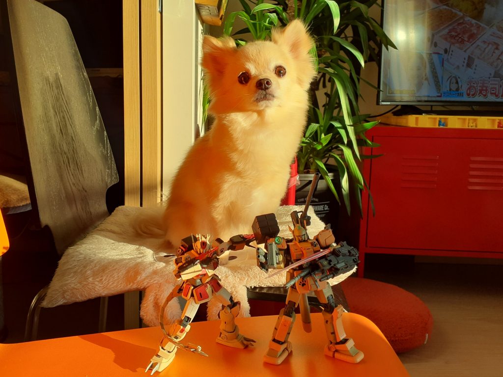 息子🐶の新旧専用機ですU^ェ^U
