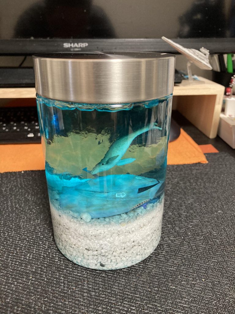 そぉっと水を入れると鮮やかな水中シーンのできあがり！1ヶ月もすると水が濁ってくるらしいので、こちらにアップ後はグラブロを取り出す予定です。
