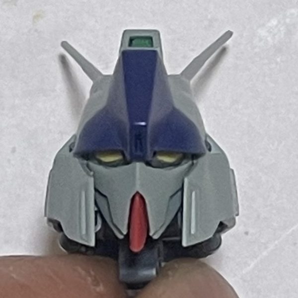 リガズィ、こんな顔面、いかがでしょう。