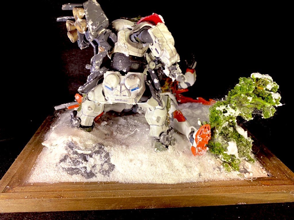 バックショット