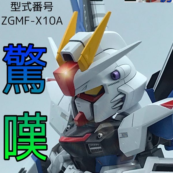 【驚嘆】SD✖️HG＝重装✖️重奏化