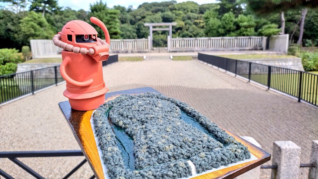 お天気が良くて絶好の撮影日和✨