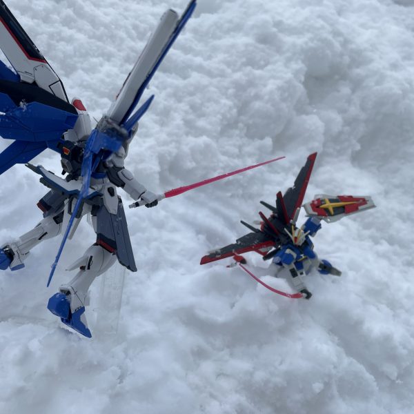 雪が積もったら出来る事！