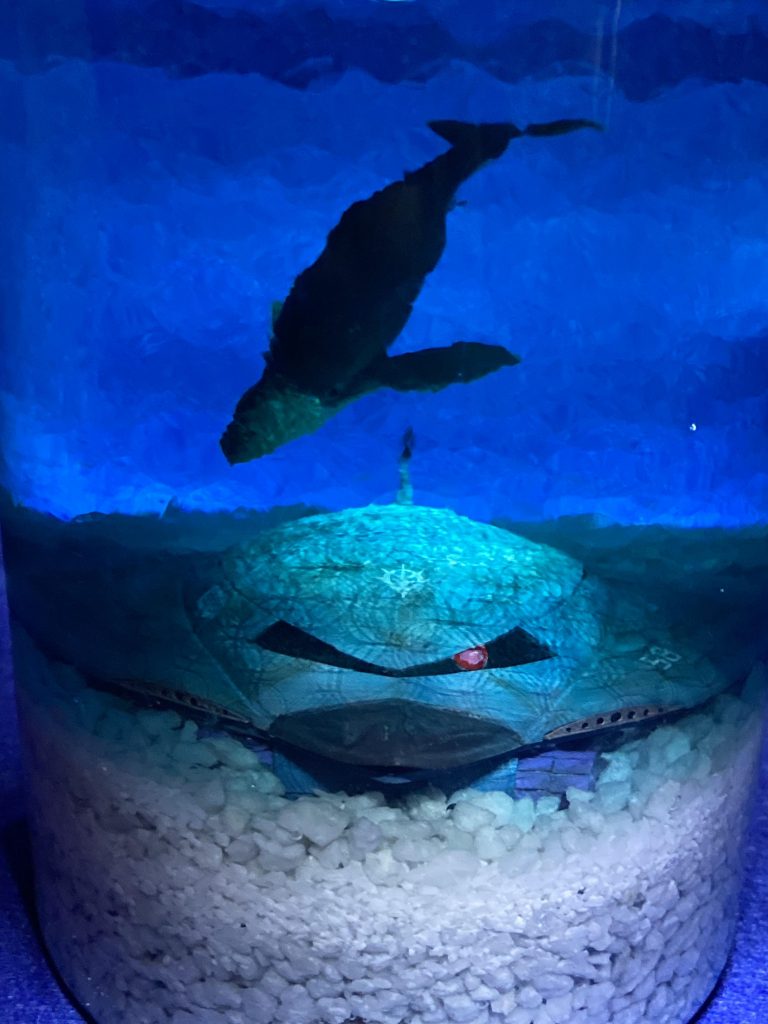 結果、沈没38時間後に艦内の残存酸素が消費され、イグナシオ艦長を含む乗員3名は窒息死した。熱核ジェットエンジン故障の原因は、原子炉用制御機器（アナハイム製PLC）の初期不良による圧力コントロールの暴走が招いたメルトダウンであった。この沈没死亡事故の報告を受けた海軍上層部は、本機がギレン総統が考える地球圏制圧の海洋軍備の要であるため、事故そのものを「消息不明」という結果で隠蔽することを決めた。