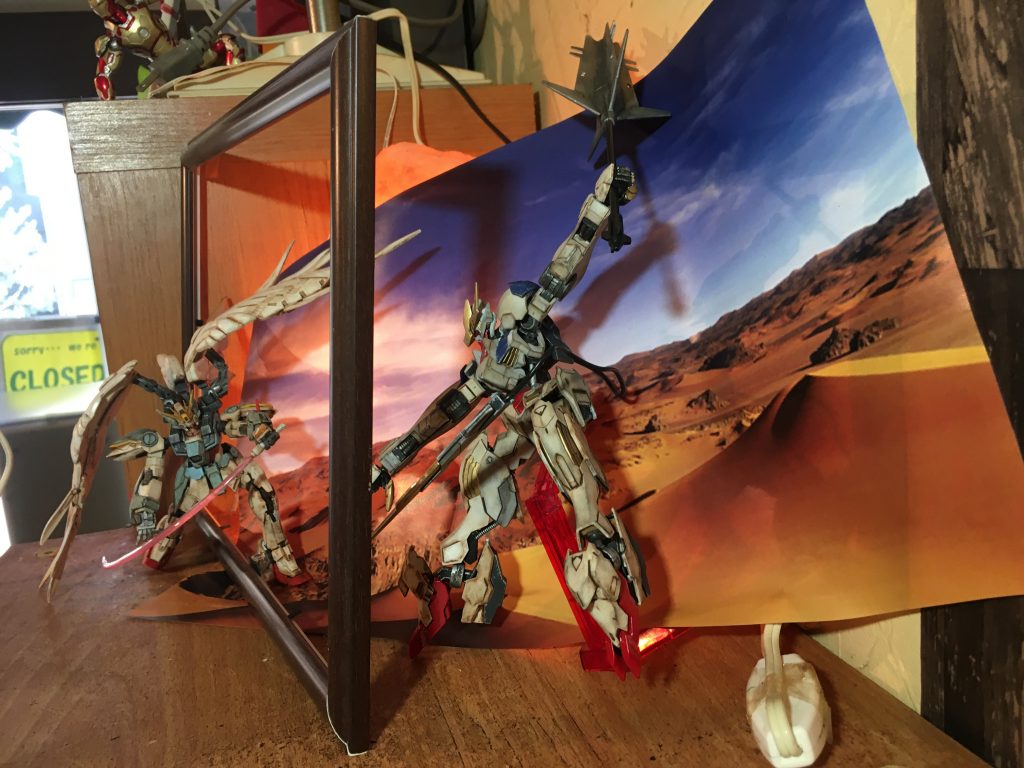 横から見たところ