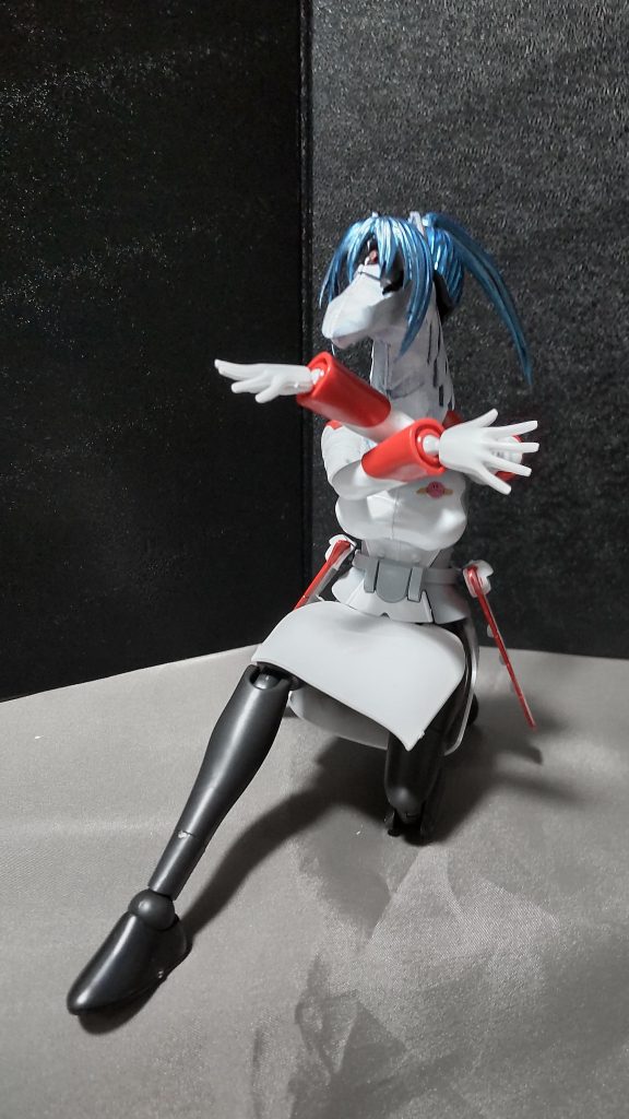 なんだかよくわからないポーズ南斗水鳥拳っぽい?