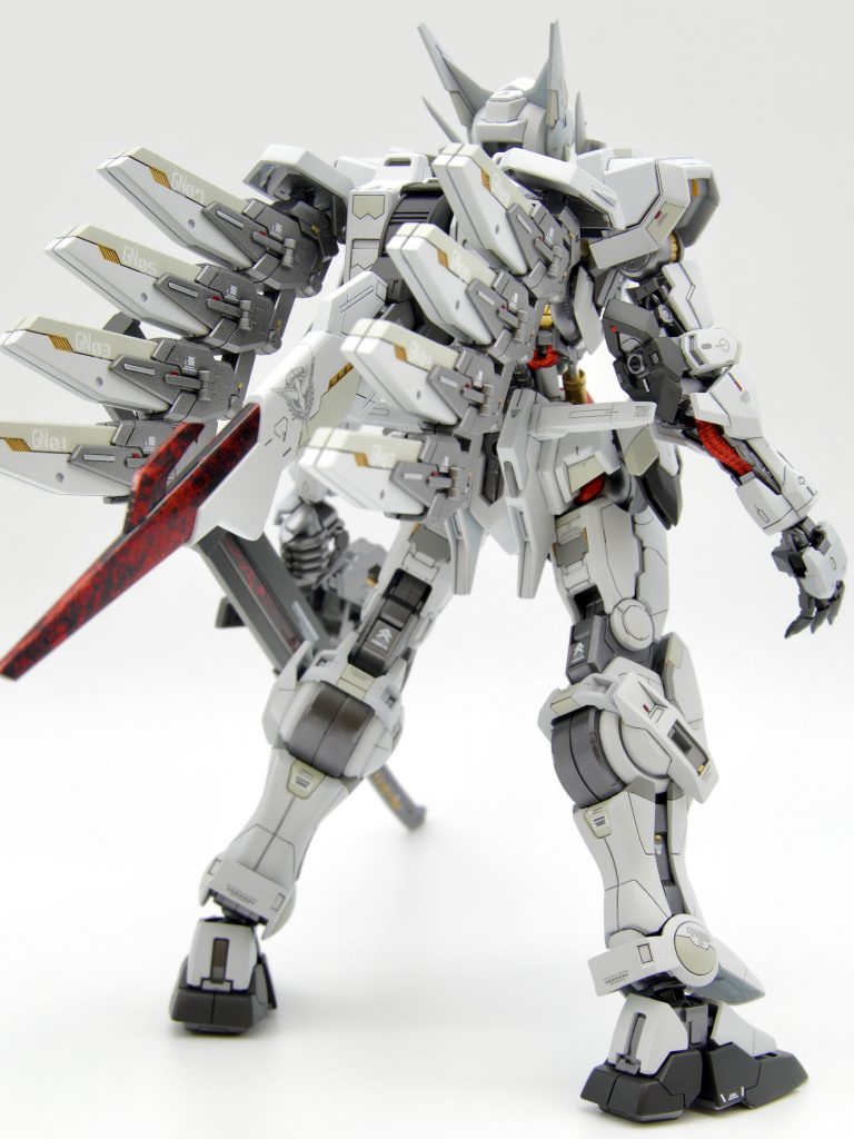 エイハブ･リアクター試験運用のため太陽炉は非搭載。GN粒子兵装使用、及びガンダムフレーム兵装へのGN粒子動力転用試験を目的とし背面に複数のGNコンデンサーを搭載しています。