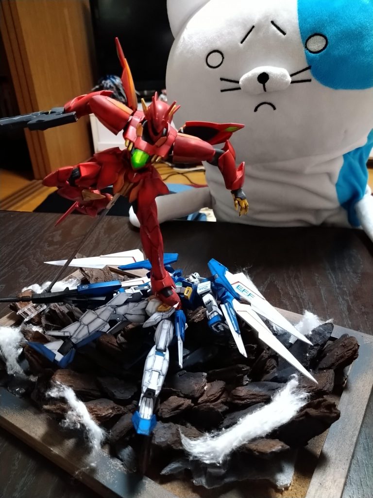 最後に撮影風景をネコどんが不思議そうに見ています見ていただいてありがとうございました