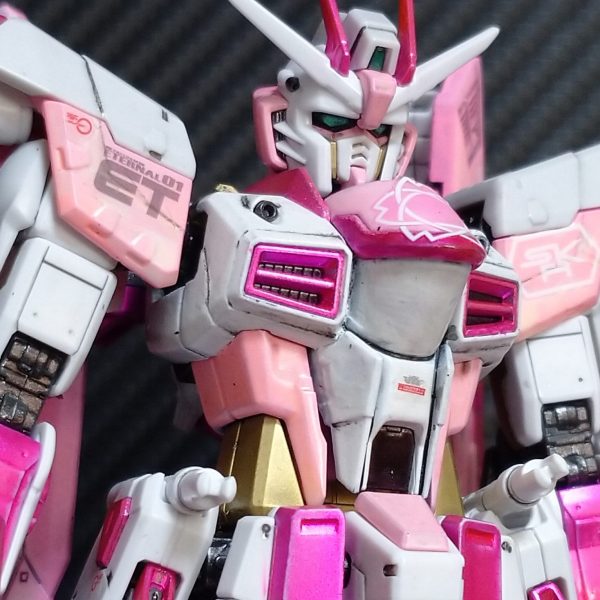 フリーダムガンダム桜花