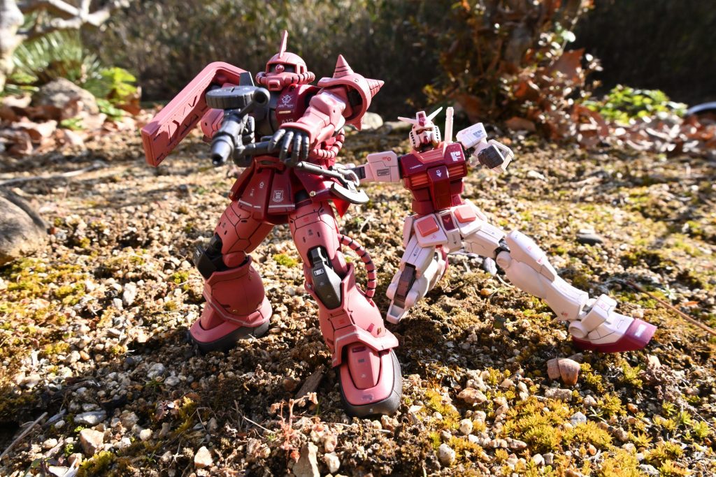 右側は、独自の配色で塗装したEGガンダムです。