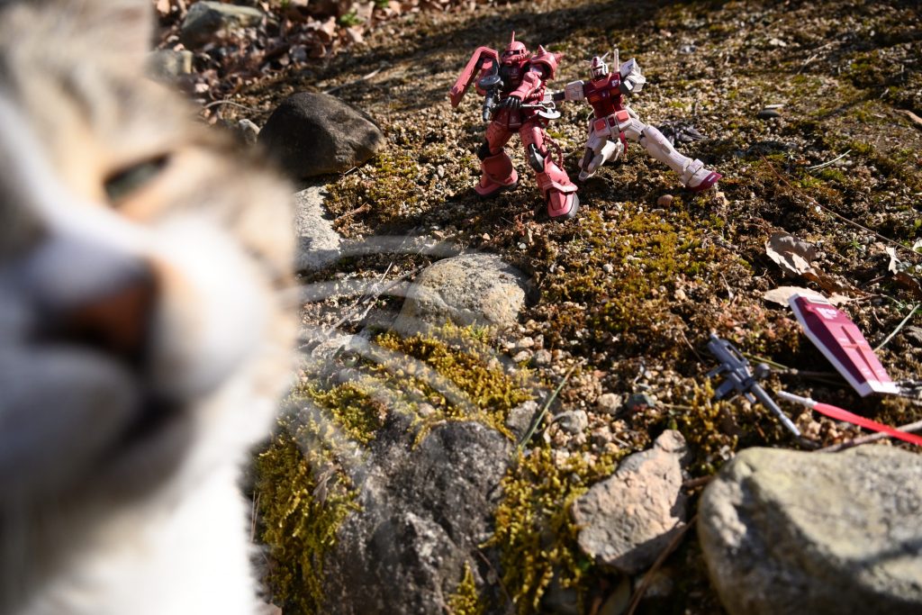 HGオリジン版シャア専用ザク–7枚目/制作者：jigen