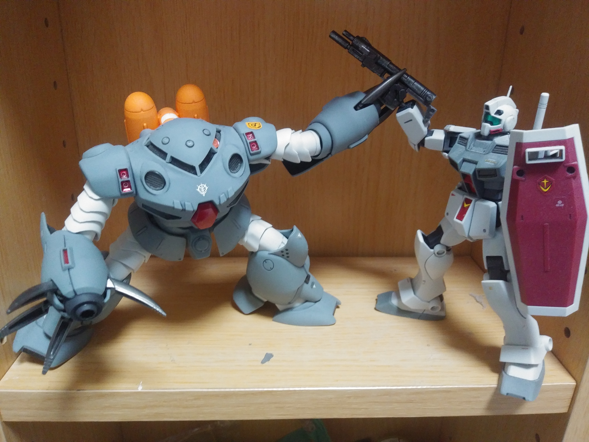 HG ズゴックE 寒冷地ジム｜tuyatechiさんのガンプラ作品｜GUNSTA